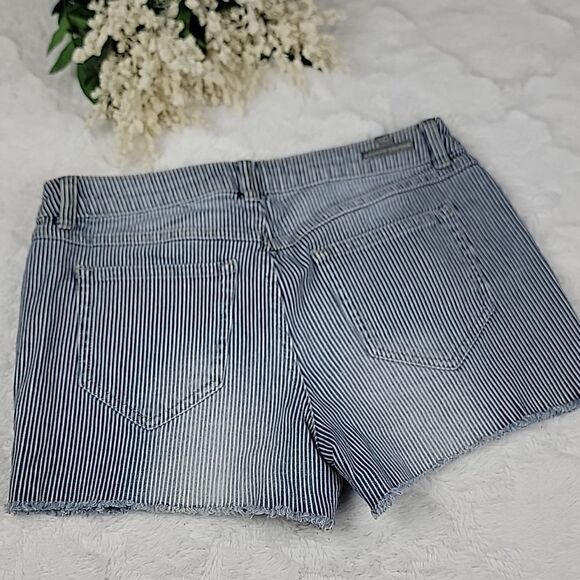 LCĀ LAURENāCONRADāPināStripedāJeanāShortsā - Picture 4 of 4